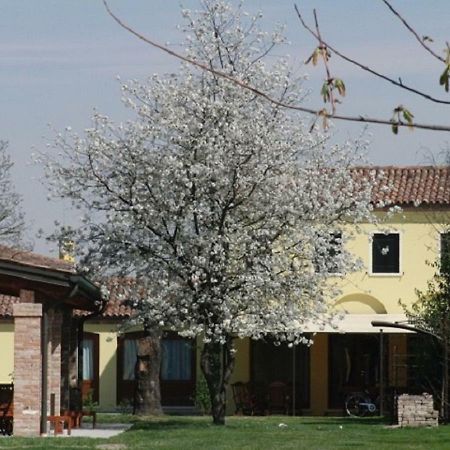 Particolari Del Brenta Apartment Ориаго Ди Мира Екстериор снимка
