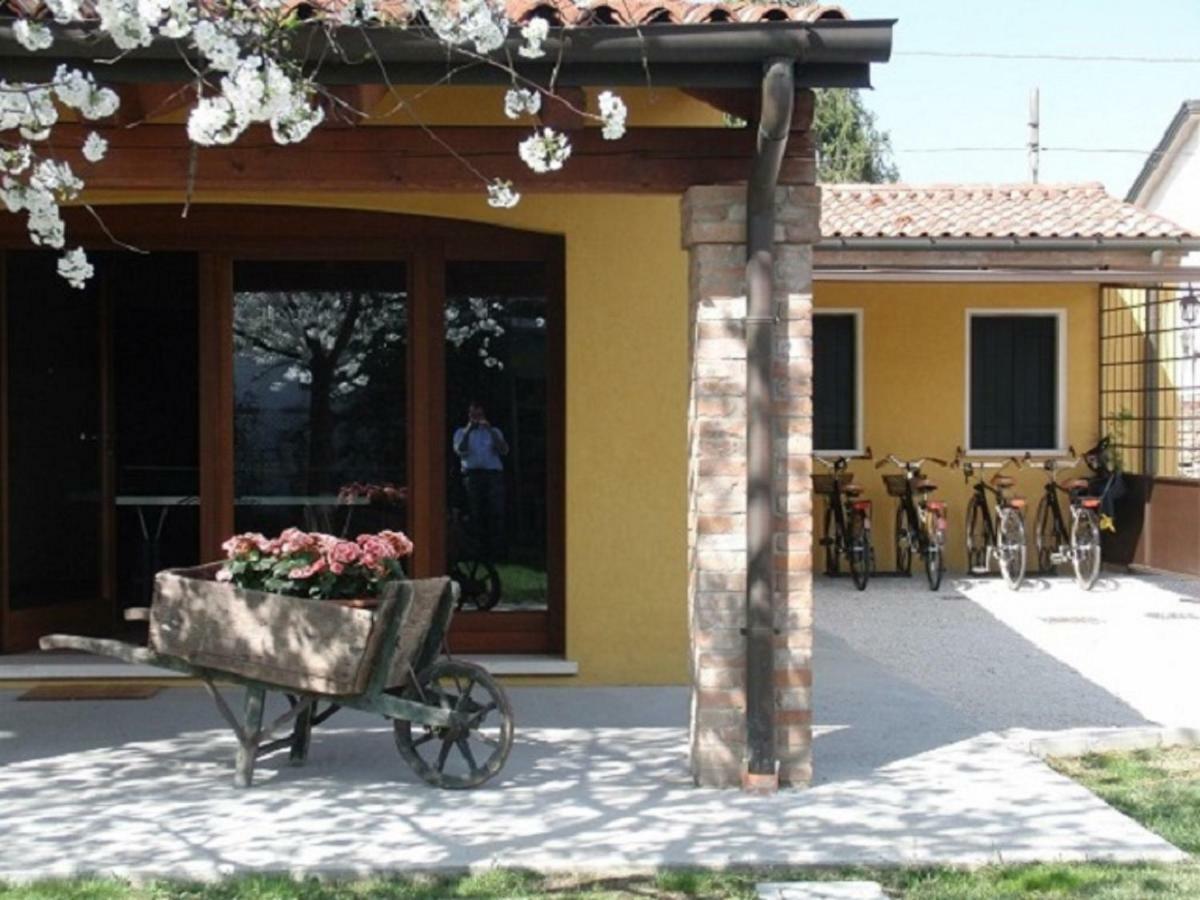 Particolari Del Brenta Apartment Ориаго Ди Мира Екстериор снимка
