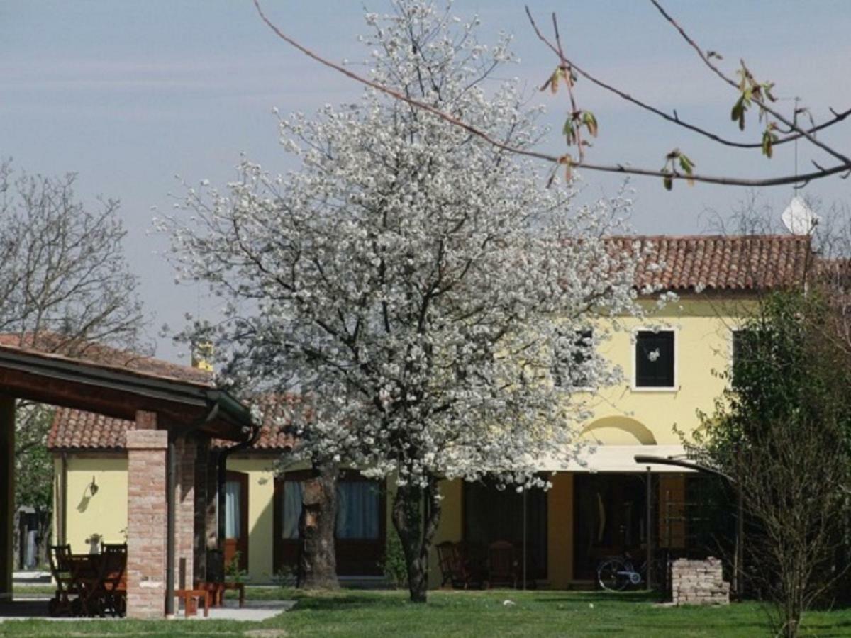 Particolari Del Brenta Apartment Ориаго Ди Мира Екстериор снимка