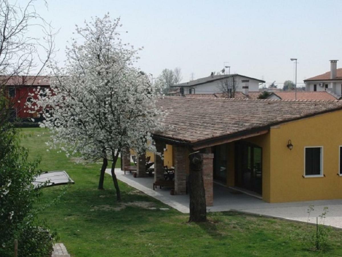 Particolari Del Brenta Apartment Ориаго Ди Мира Екстериор снимка